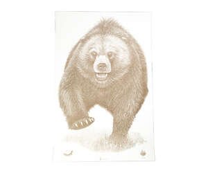 ACTION TGT AK STATE PARK BEAR 100PK