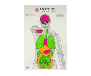 ACTION TGT ANATOMY TRNG 100PK