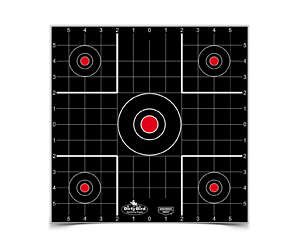 B/C DIRTY BIRD SIGHT IN TGT 12-12"