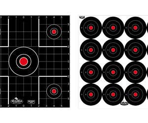 B/C DIRTY BIRD COMBO TARGETS 12PK