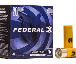 FED GMSHK 20GA 2 3/4" #6 25/250