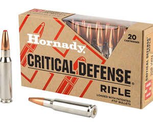 HRNDY CD 308WIN 155GR FTX 20/200