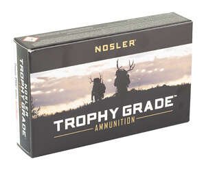 Alternative view of NOSLER 7MM PRC 160GR AB 20/200