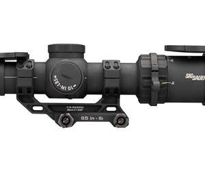 SIG TANGO-MSR CMP 1-10X24 SFP BDC10