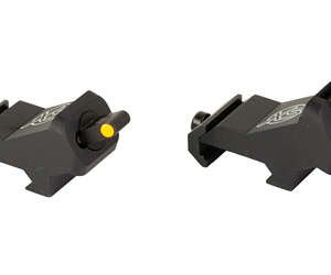 XS XTI2 DXS STANDARD DOT ORN