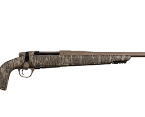 CA.EVOKE MO 300WM 22"FDE,BTTMLD