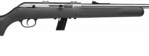 SAV 64FSS 22LR 21" SYN/SS 10RD