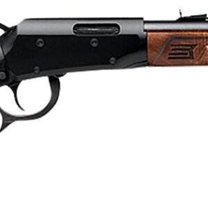 SAVAGE ARMS REVEL DLX 17HMR 18" WD/BL 9+1