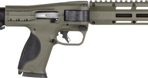 S&W M&P FPC 10MM FOLDING - CARBINE 16.25" 3-15RD MAGS ODG