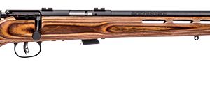 SAVAGE ARMS MARK II BOLT 22LR BL/LAM TH #
