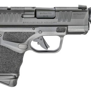 Hellcat RDP WO/Optic 9MM 3.8" 10RD