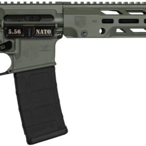 DBF DB15 OBSI 556 RFL 16GRN 30
