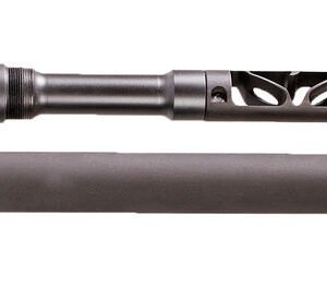 GEM SILENCER MIST-22TD 22LR