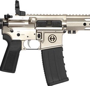 HIPOINT PISTOL HP-15 5.56 - 10.5" 30RD BLADE BRACE SILVER