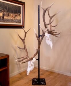 SKULL HOOKER TROPHY TREE W/ 5 - BRACKETS CUSTOMIZABLE DISPLAY - Image 2